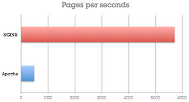 NGINX Statistics